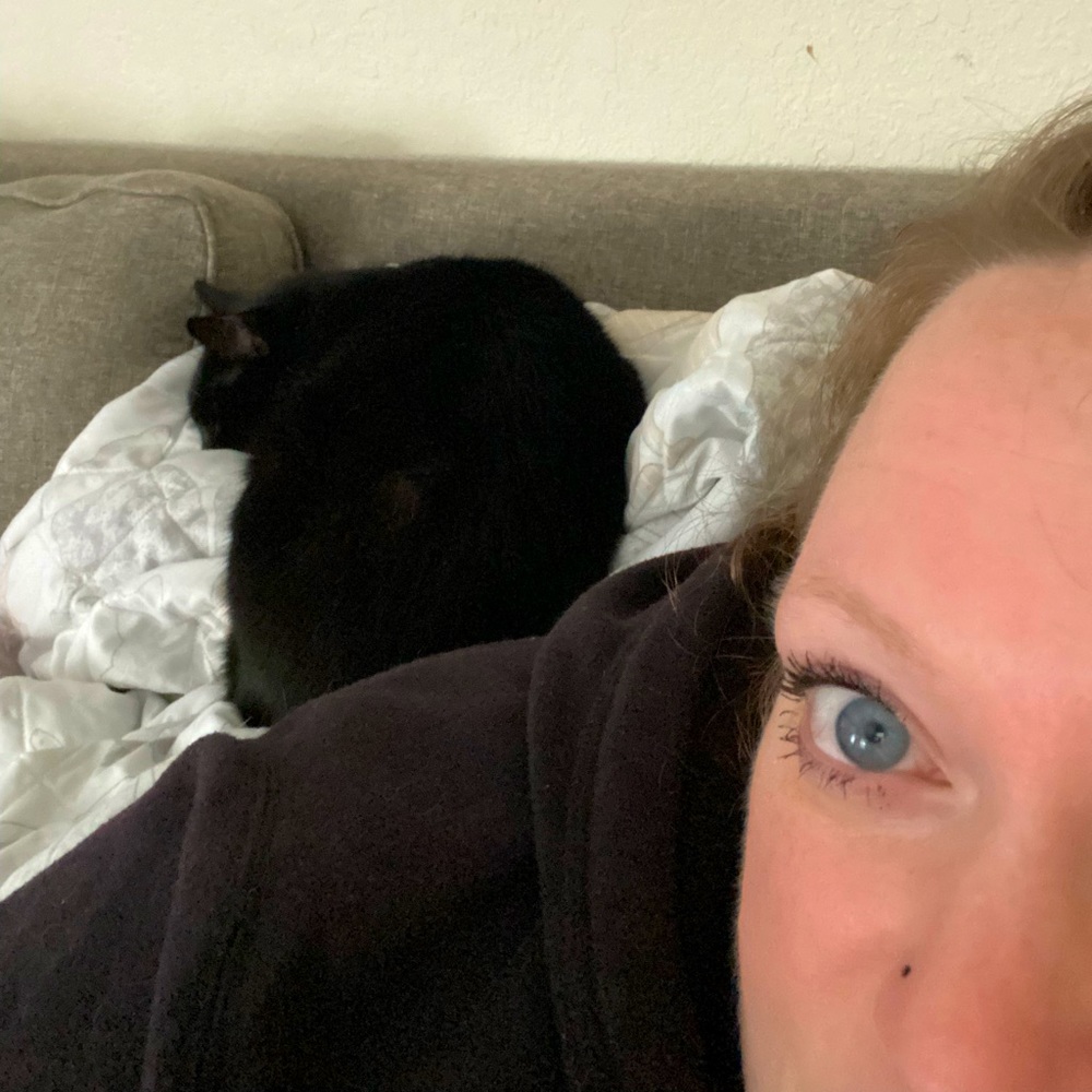 Evil Cat